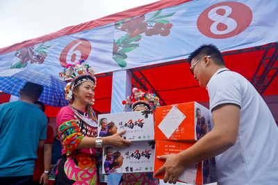 快来品尝人间“梅”味,2018靖州杨梅节暨产业扶贫促销活动长沙火热来袭