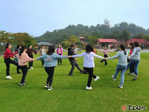 她经济 带来旅游市场 开门红 梅州开启春季赏花旅游季